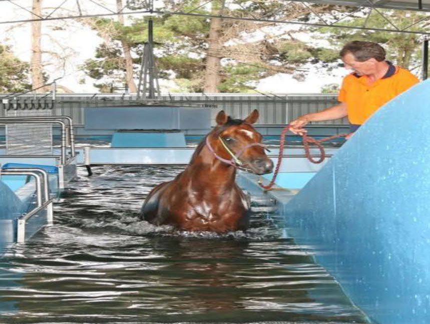 Fulman Park Horse Training Pool - Pool & Spa